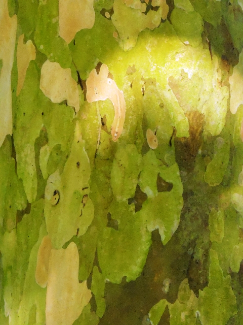 DSCN9568.JPG