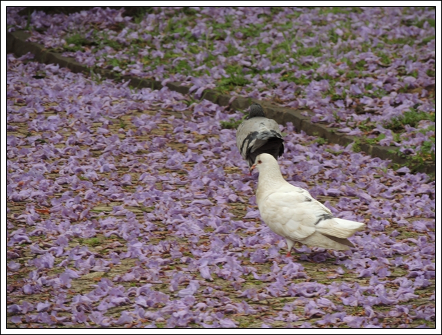 DSCN2479.JPG