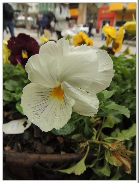 DSCN2665.JPG