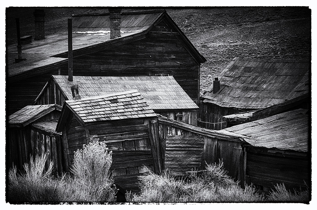 DSC_3408_NOIR.jpg