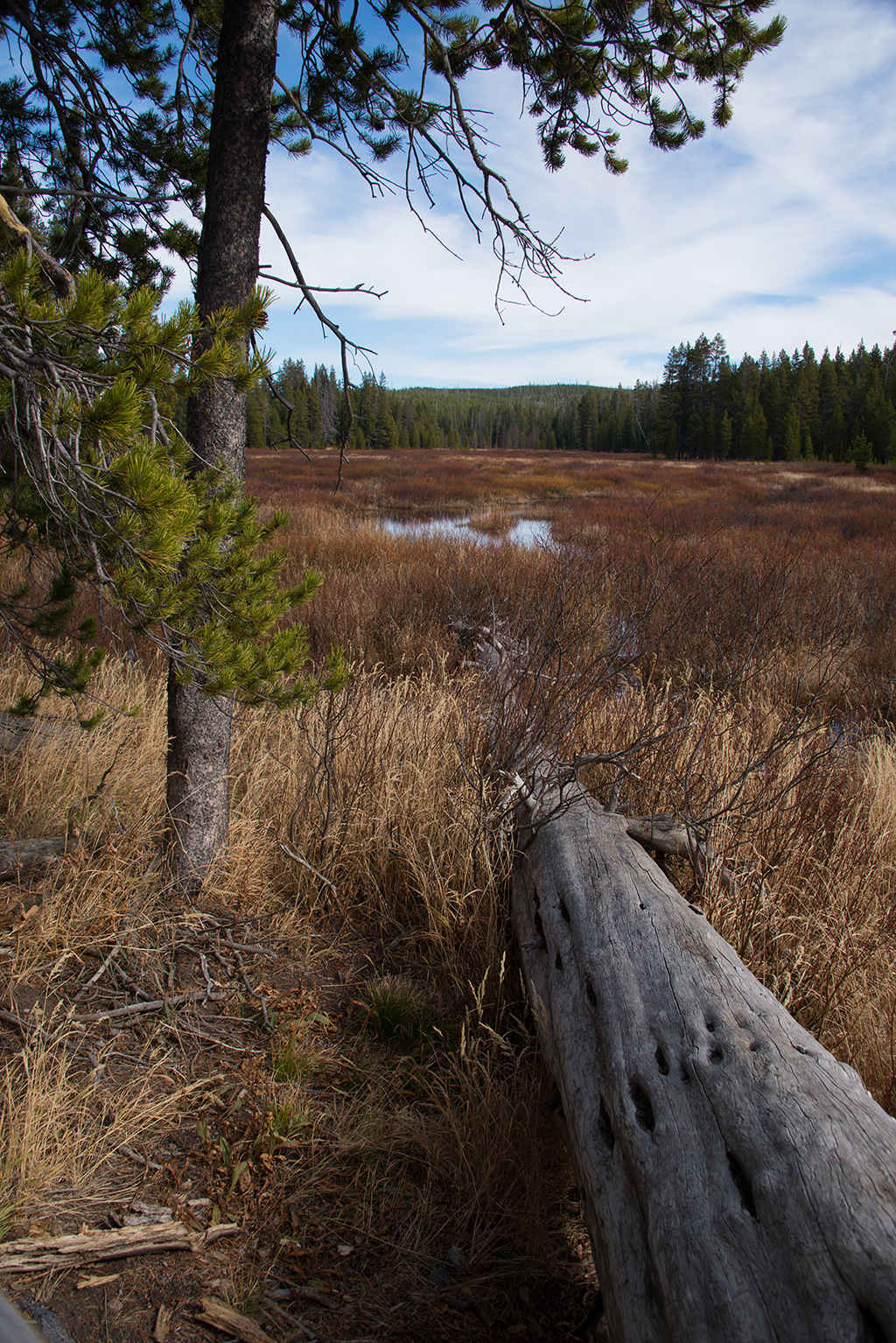 DSC_1066.jpg