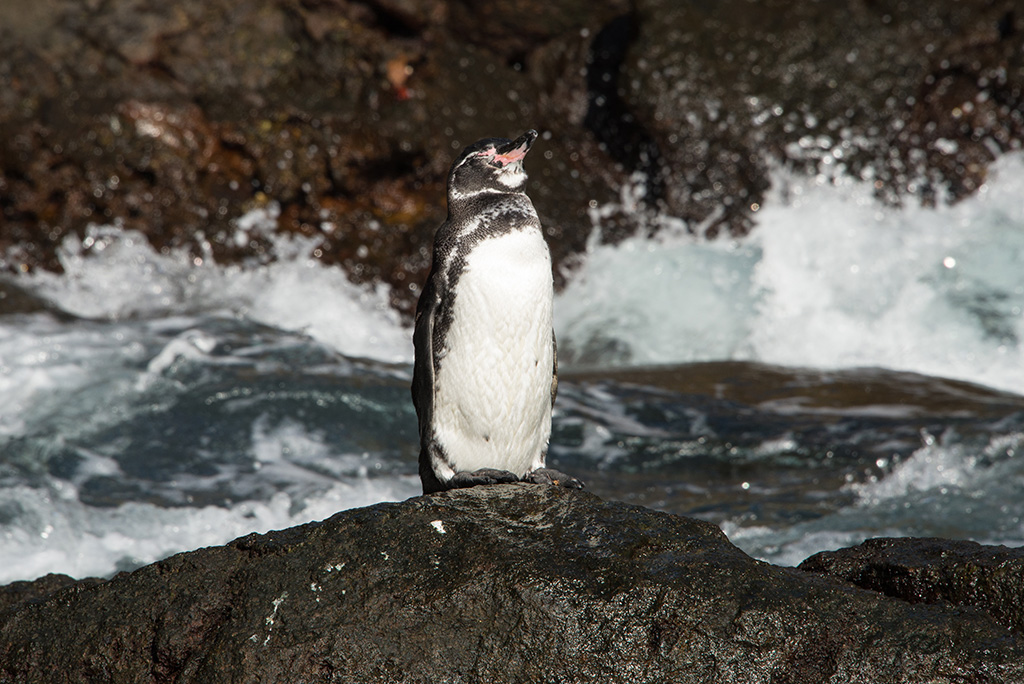DSC_7174.jpg
