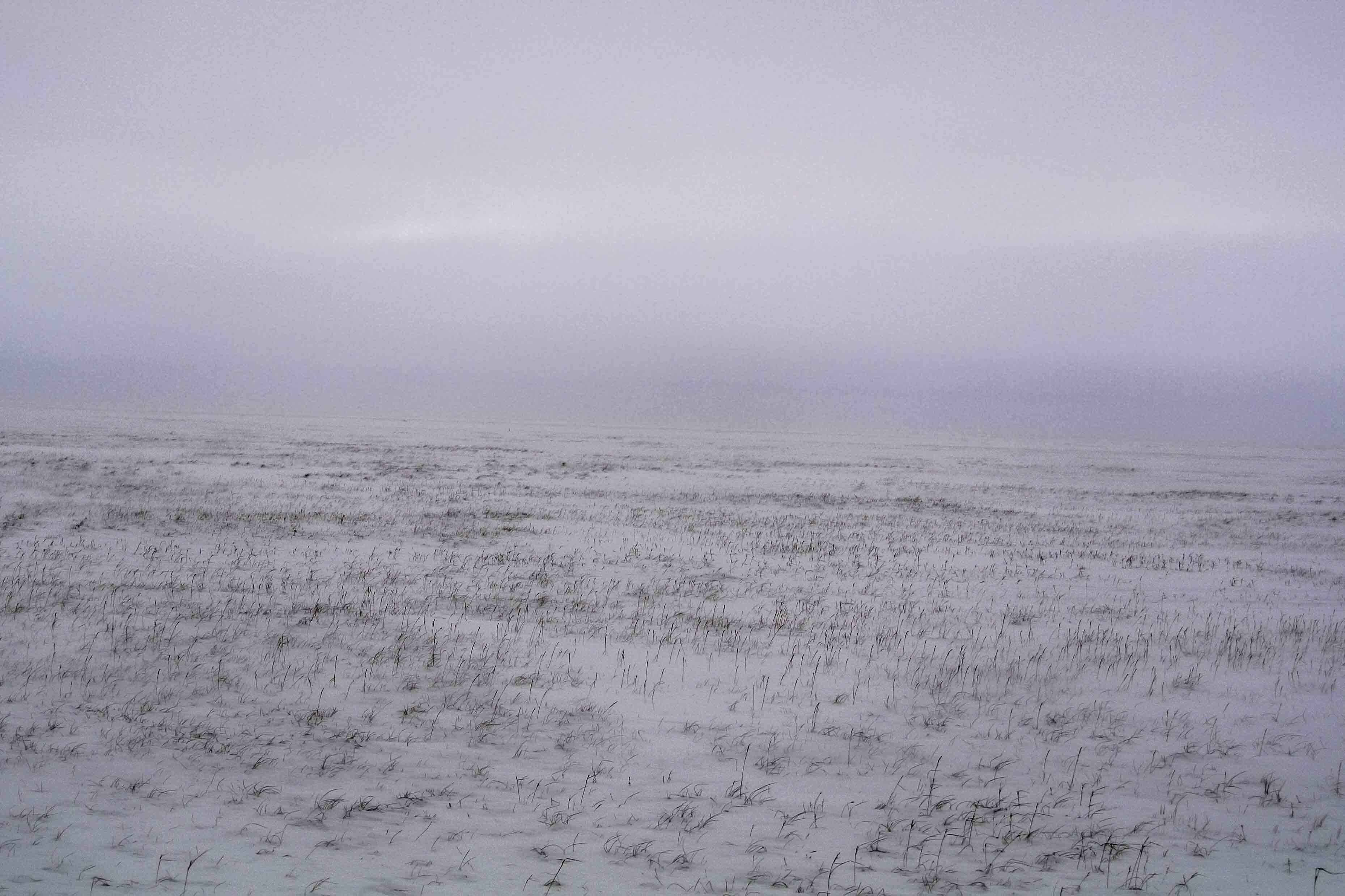 Snowy Tundra.jpg