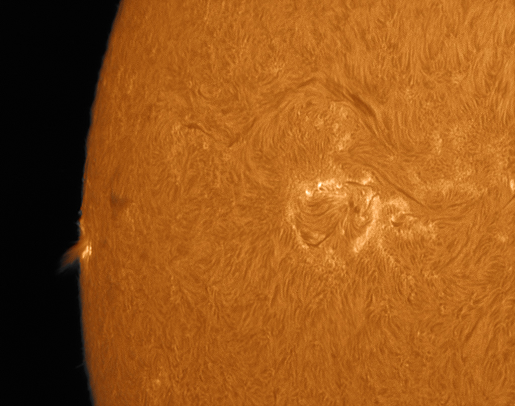 side-burst1_2013-12-22.jpg