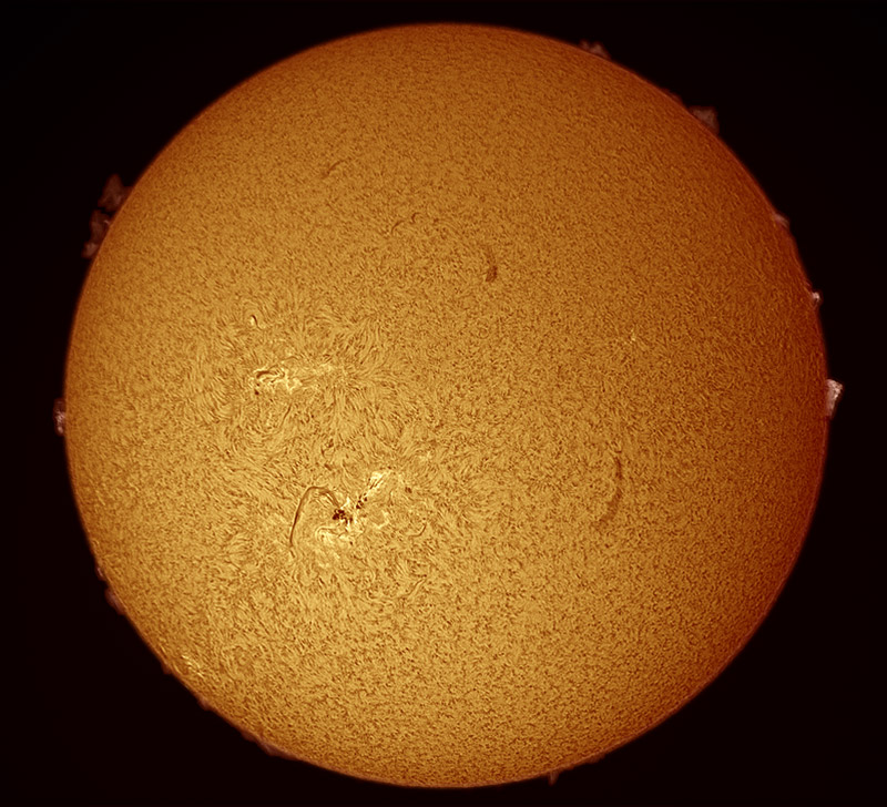 Sun Feb 1, 2014