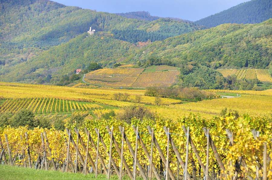 chateau de Spesbourg