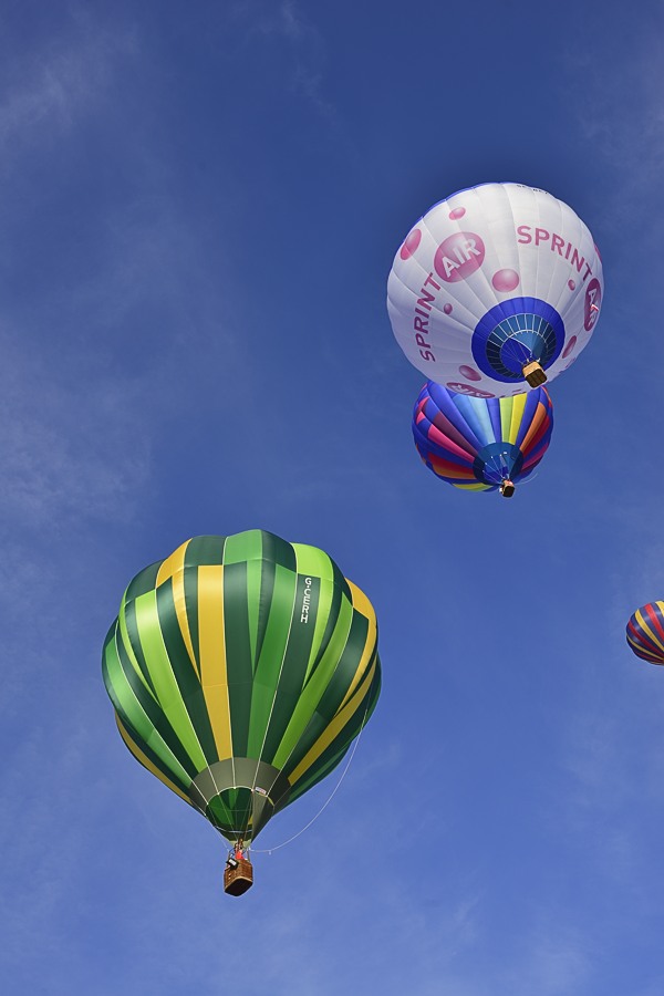 chambley 2015