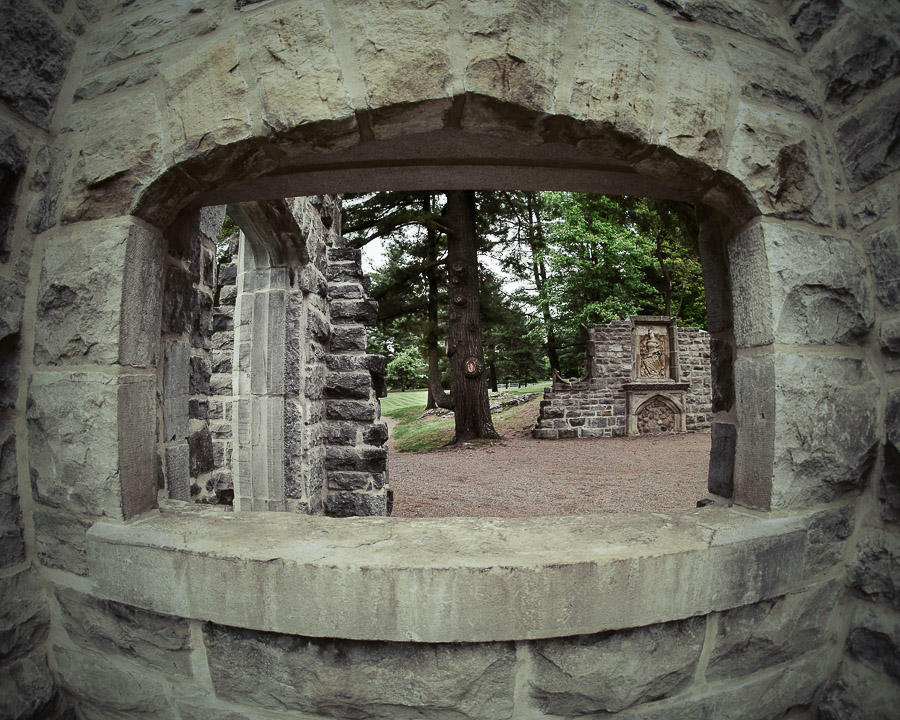 DSC09941-plg.jpg