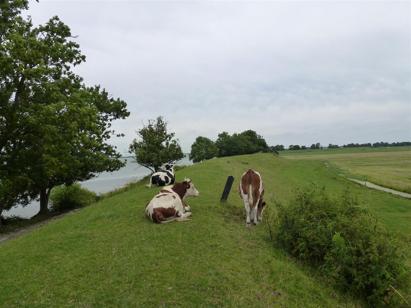 richting Muiderberg