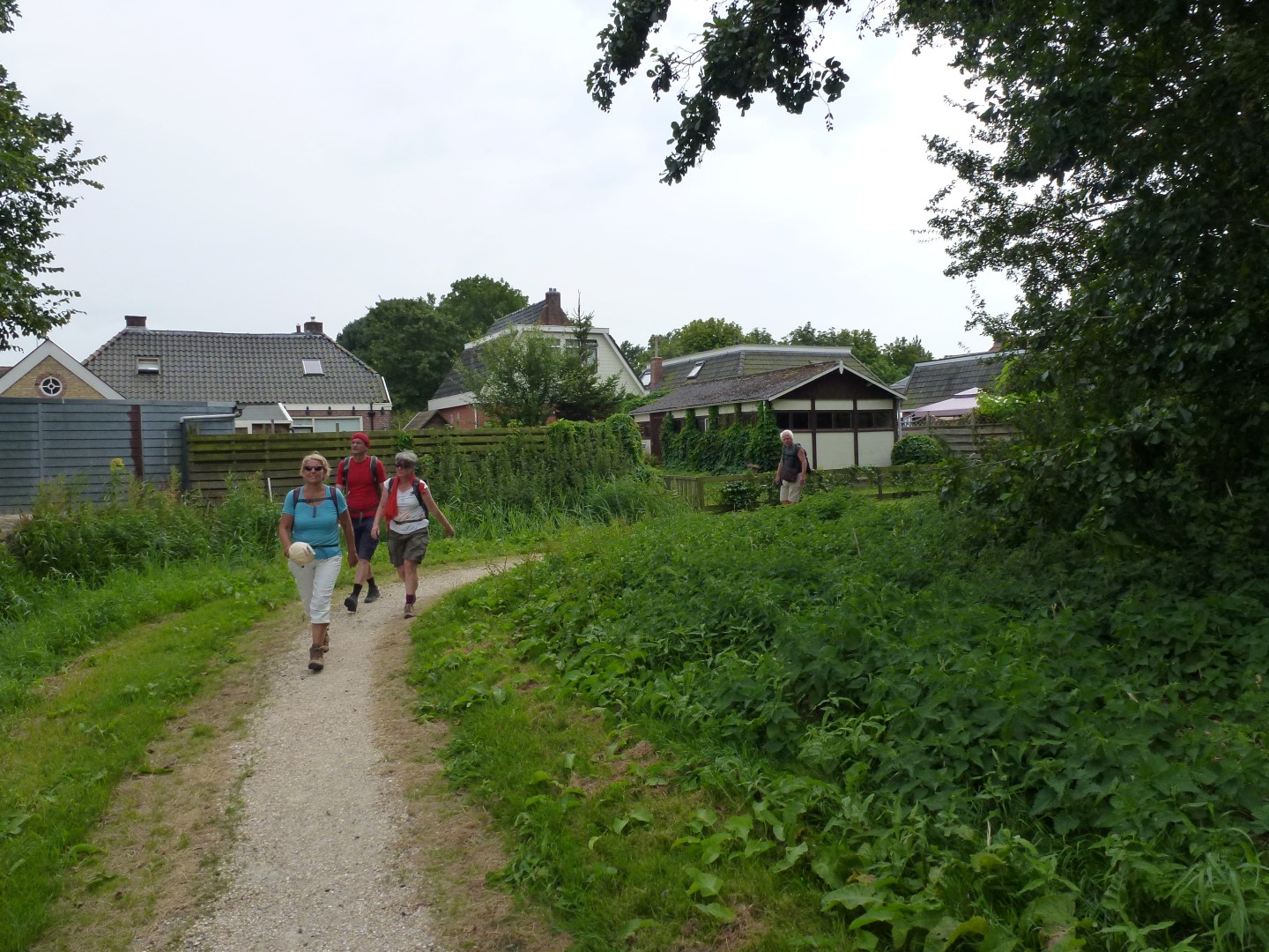 Van Oosterbierum naar de Sedijk