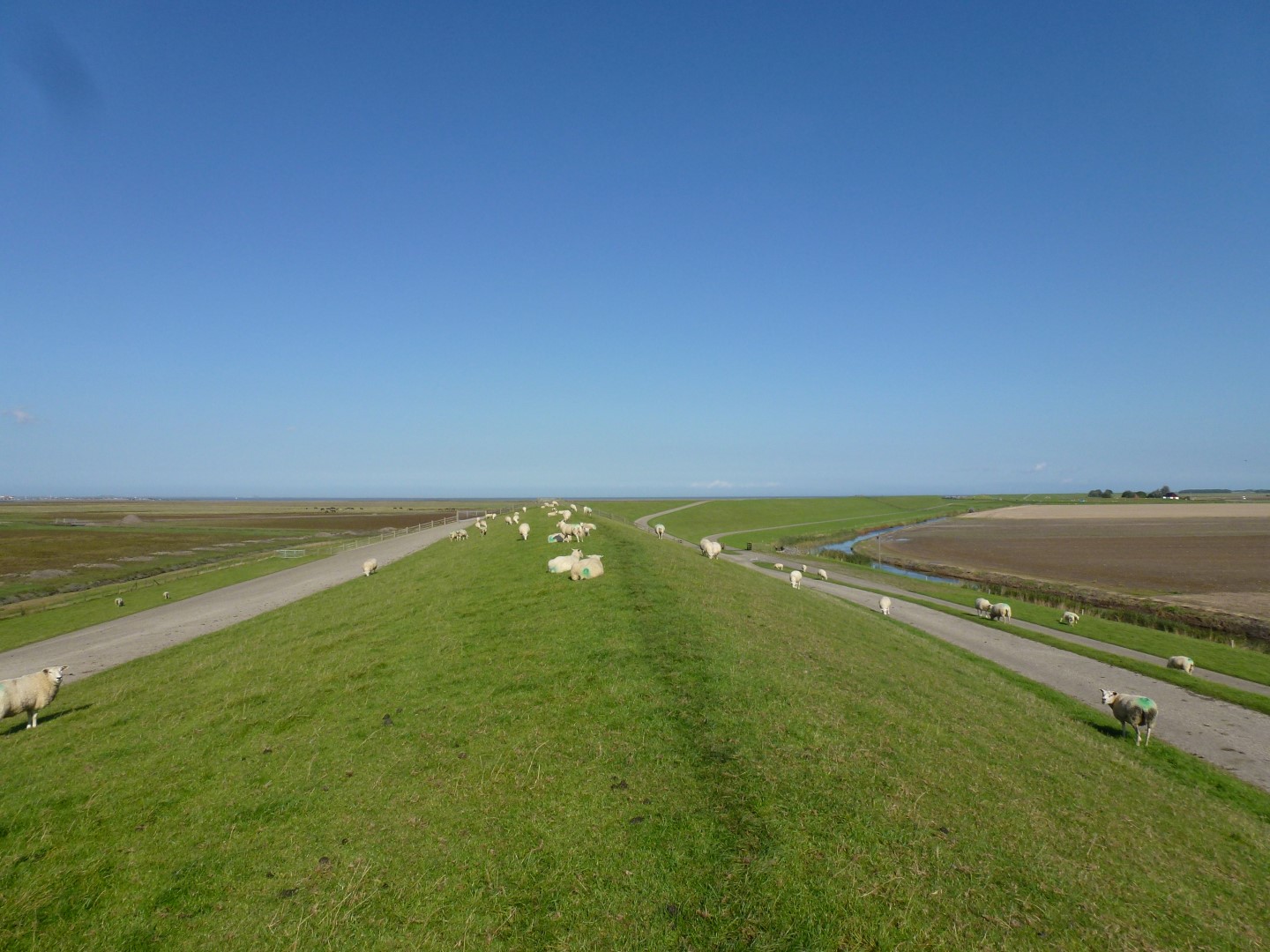 Zeedijk richting Holwerd