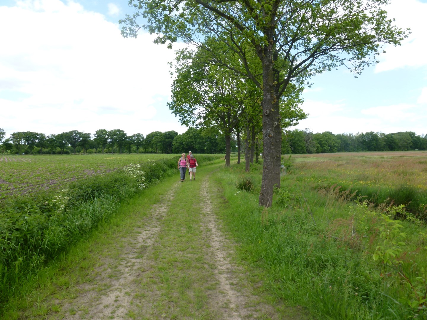 Slangenborg