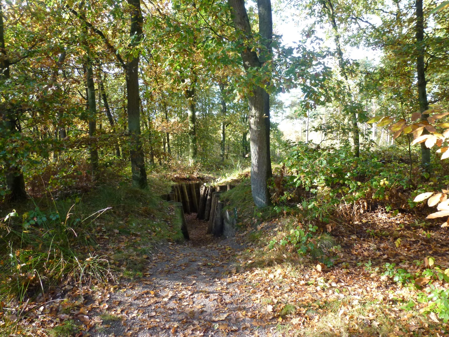 Kamp Amersfoort Loopgraven