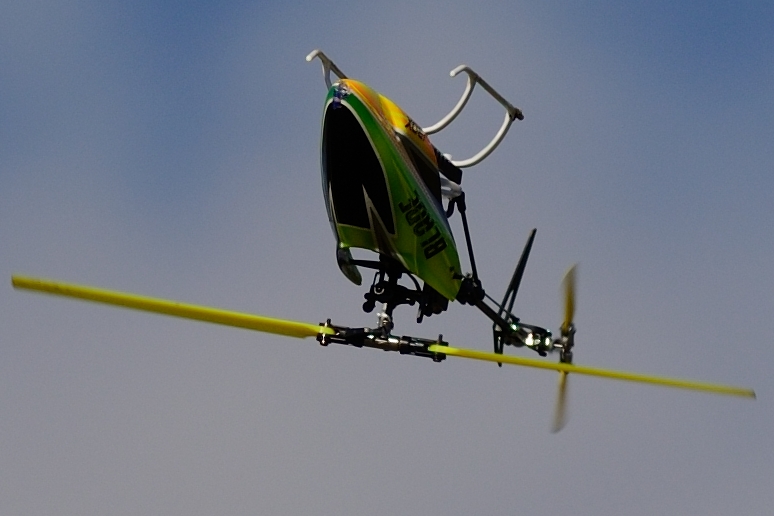 D8E_5089-crop.jpg