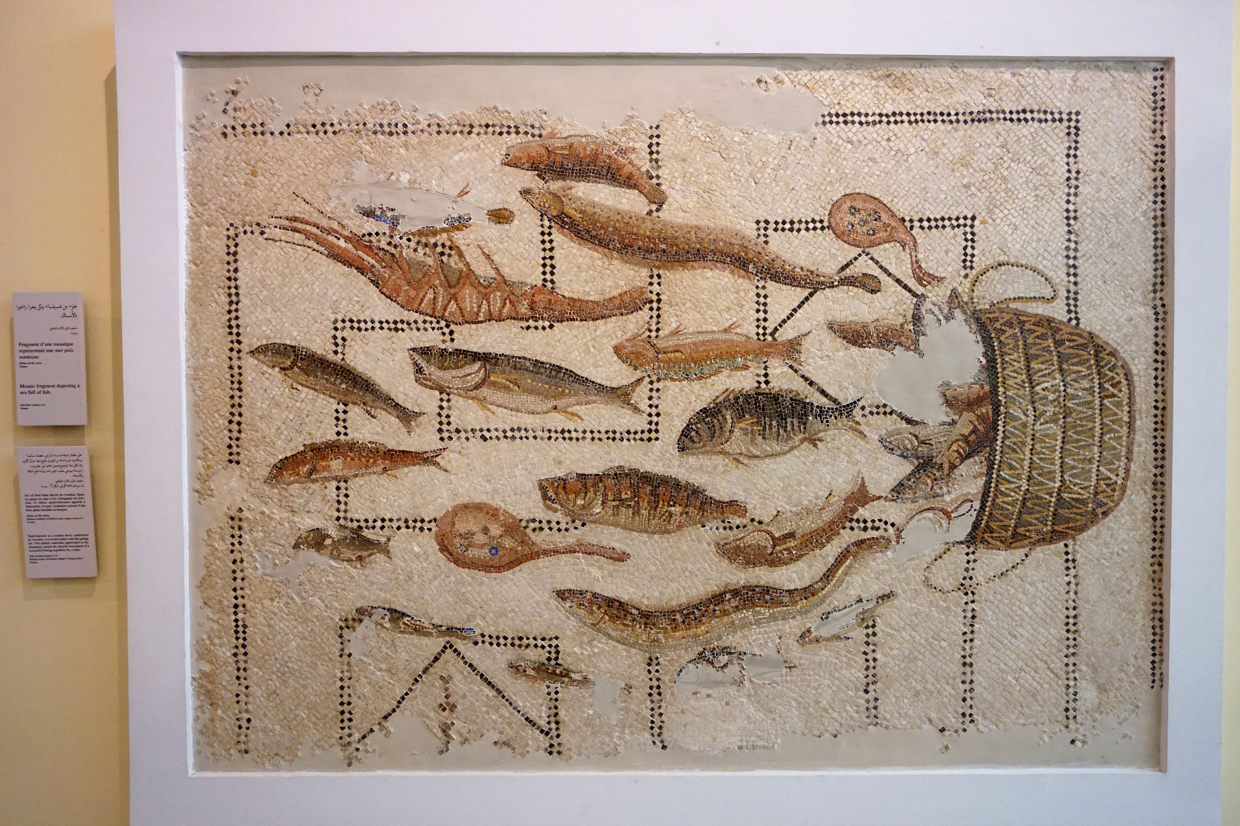 Archaeological Museum
