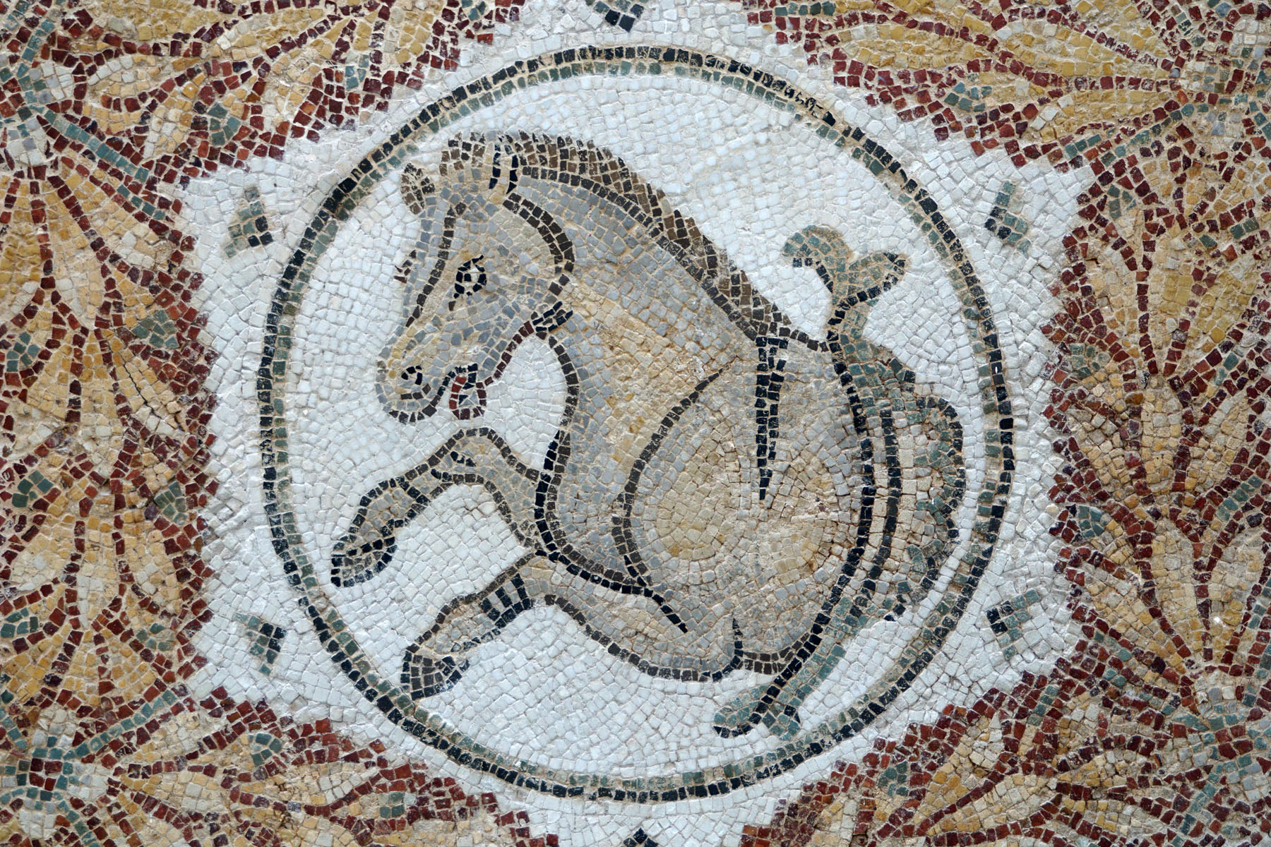 Bardo Museum