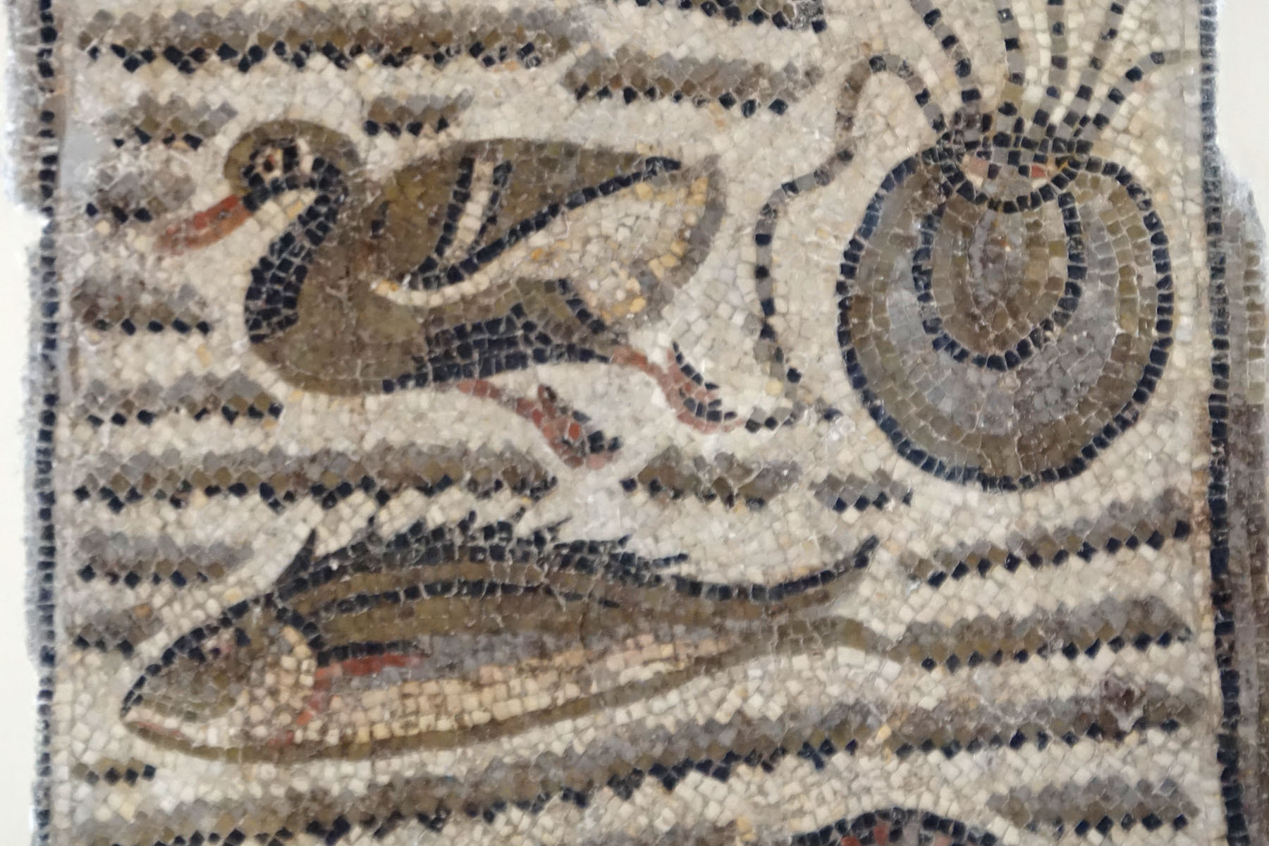 Bardo Museum