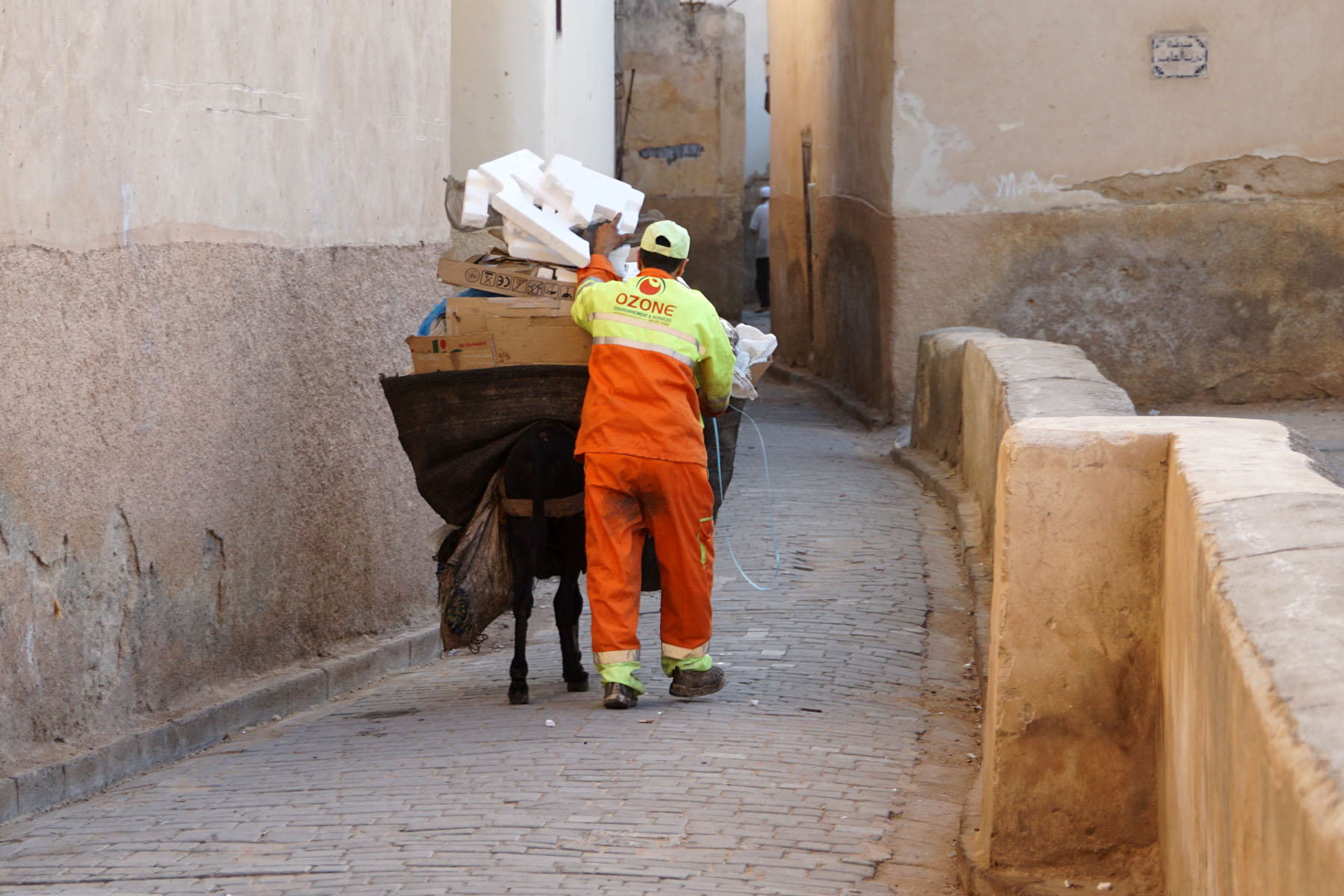 Garbage Donkey 