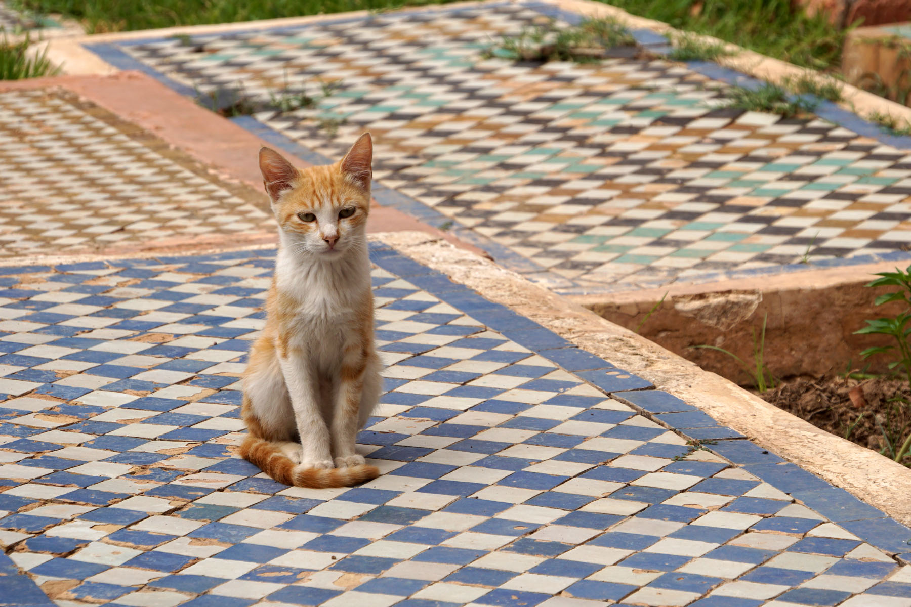 Saadian Tombs