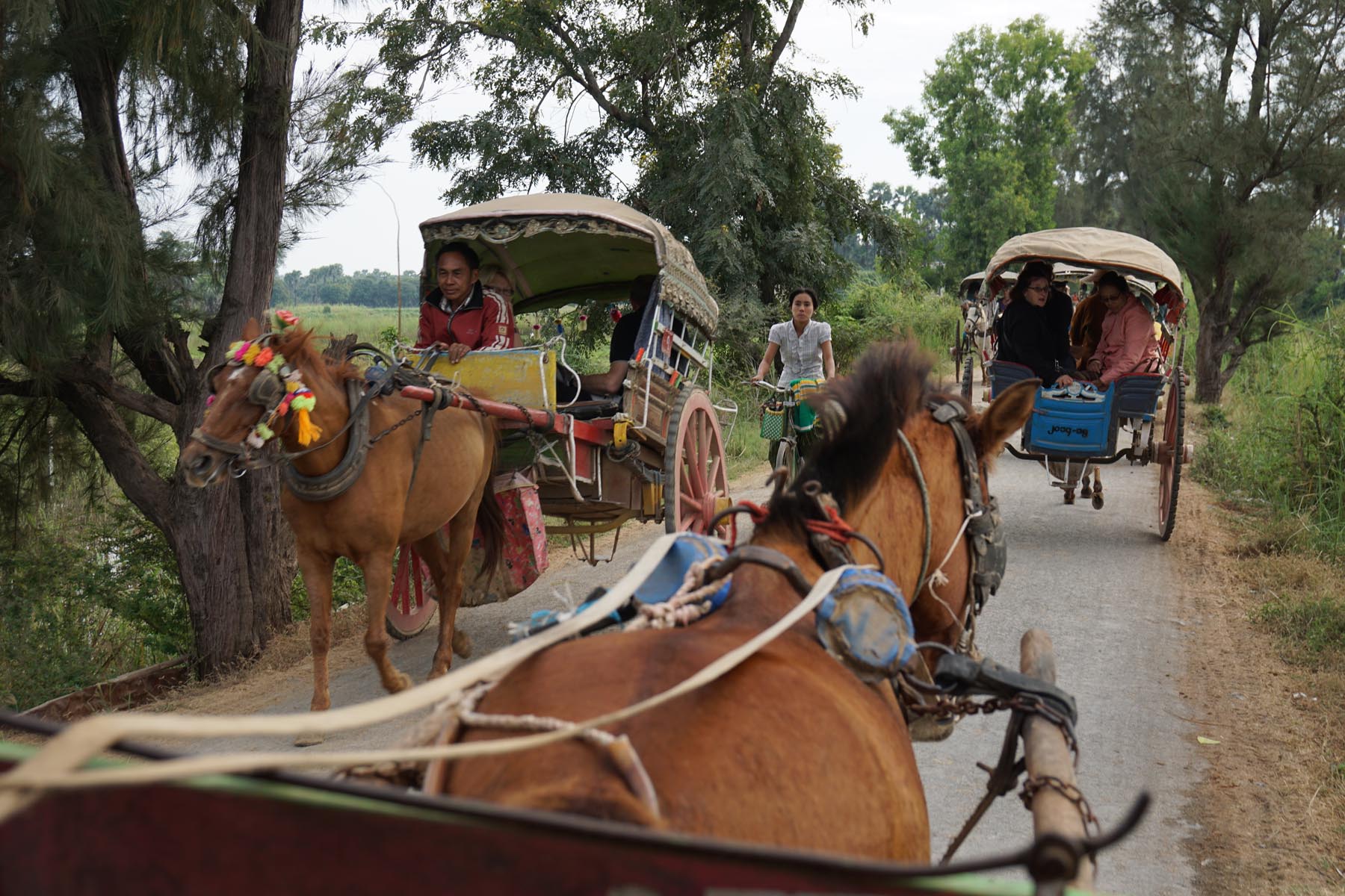  Horse Carts