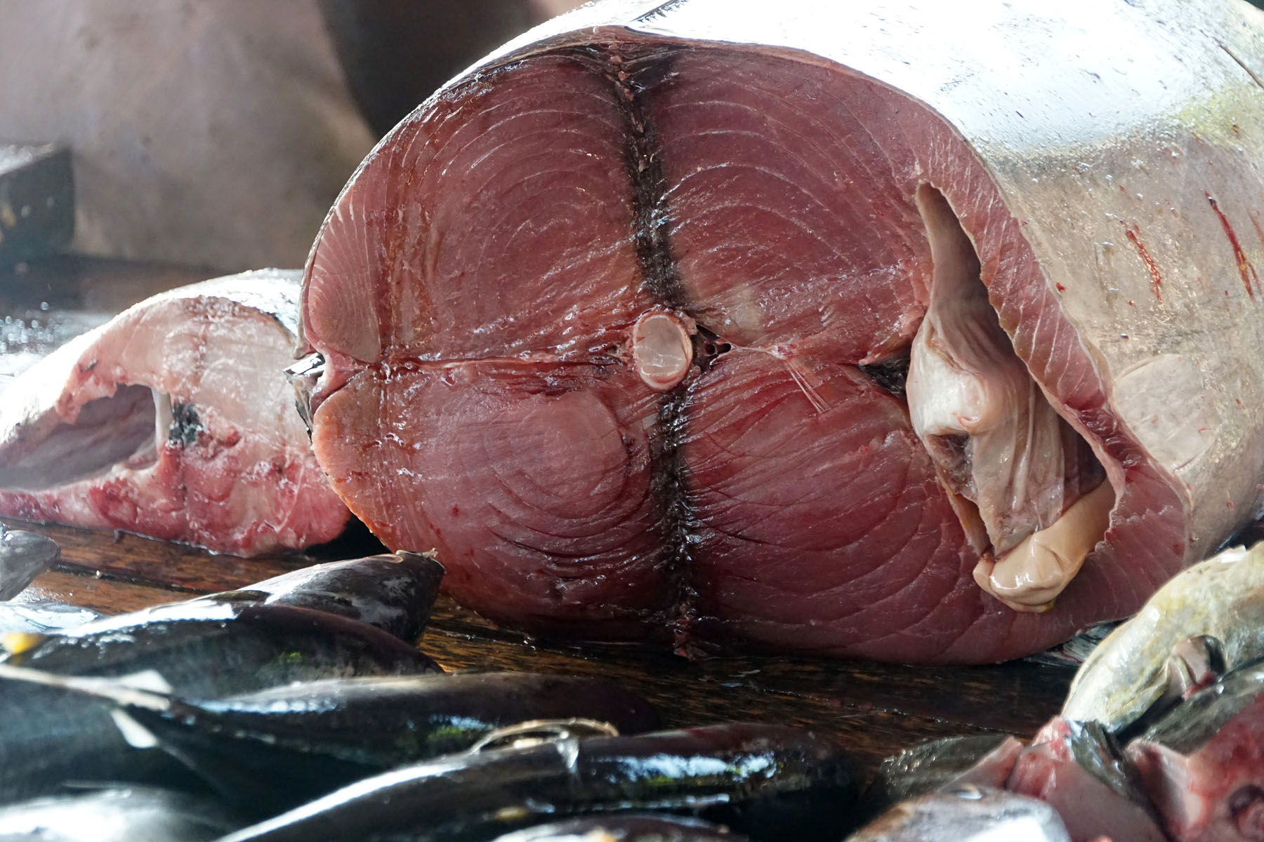 Fish market