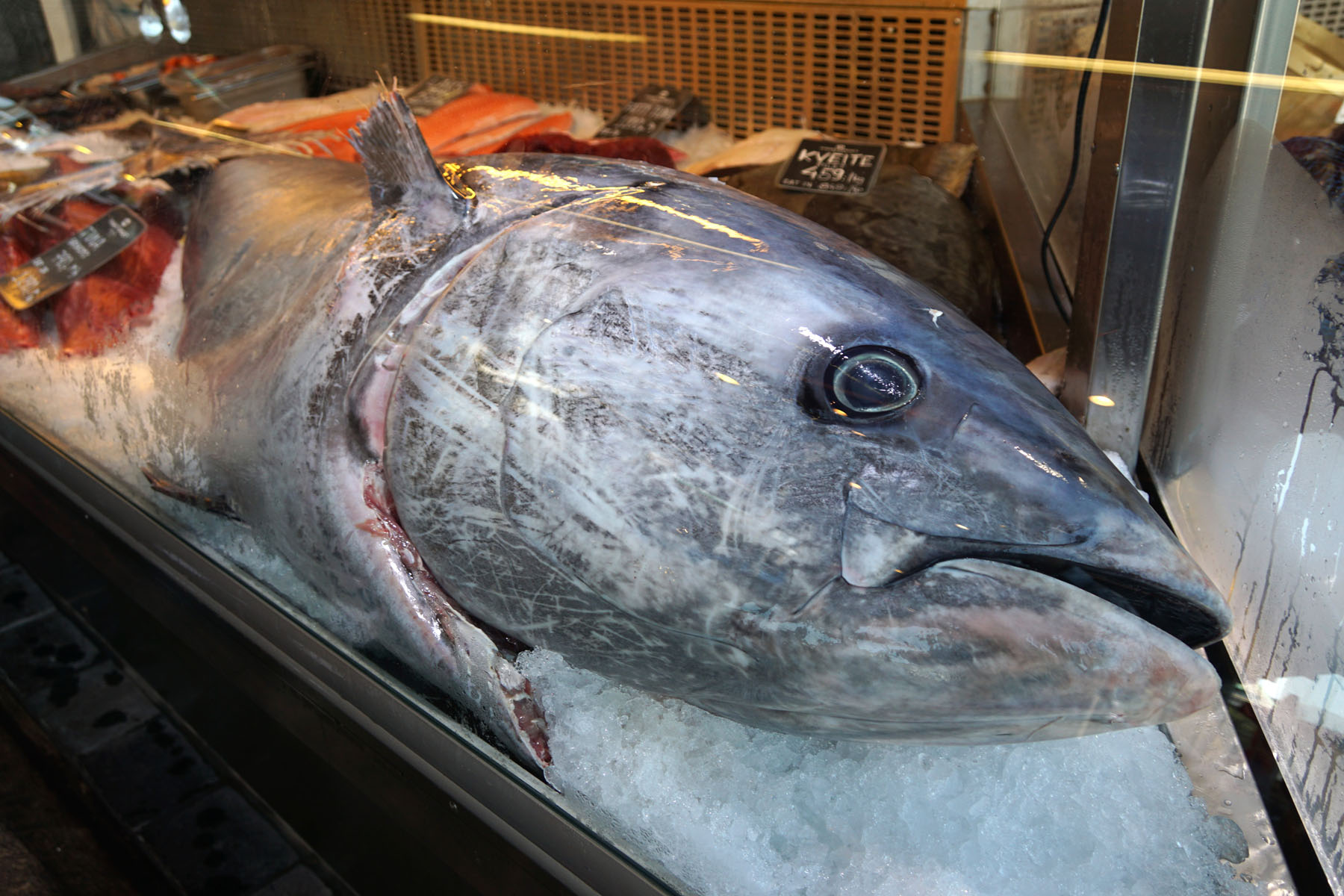 Fish Market
