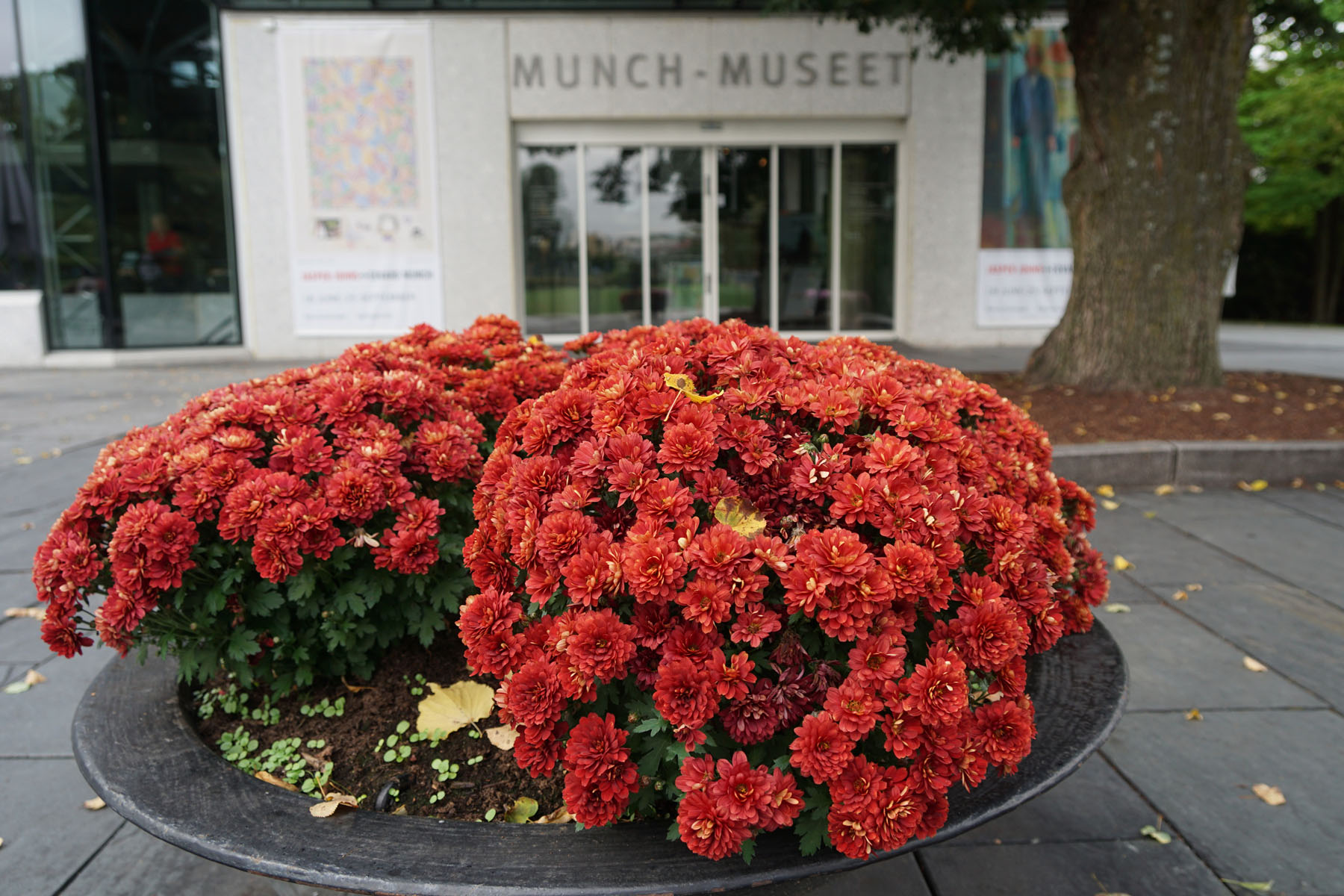 Munch Museum