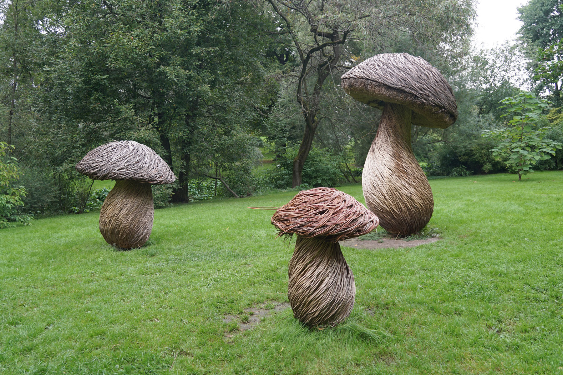 Botanical Garden
