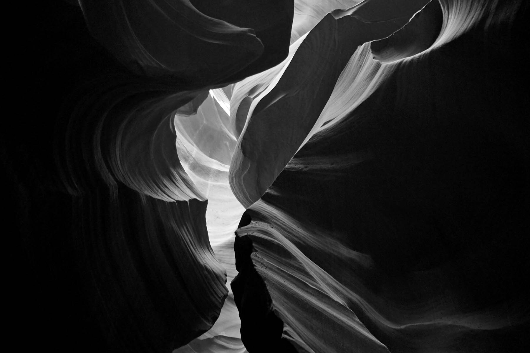 DSC05960bw.jpg