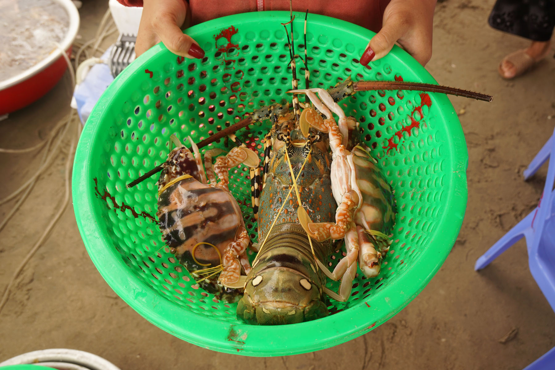 Seafood on the beach