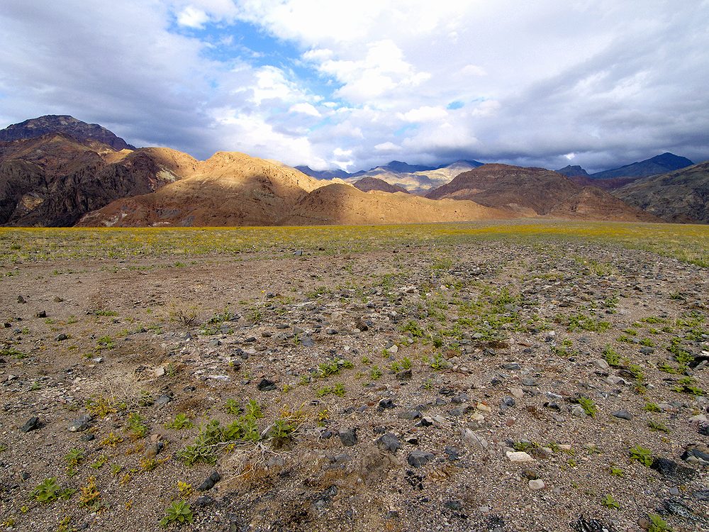 Death Valley National Park