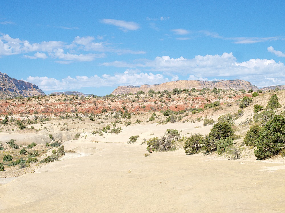 LB148010 escalante desert landscape.jpg