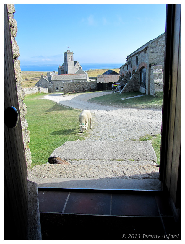 Climbing Lundy IMG_3448 TheBarn 20130903