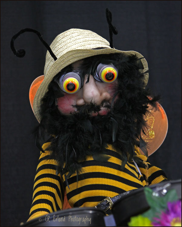 45 - Member of the Band