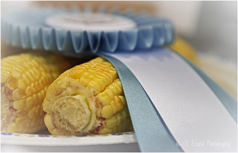 44 - Corn on the Cob
