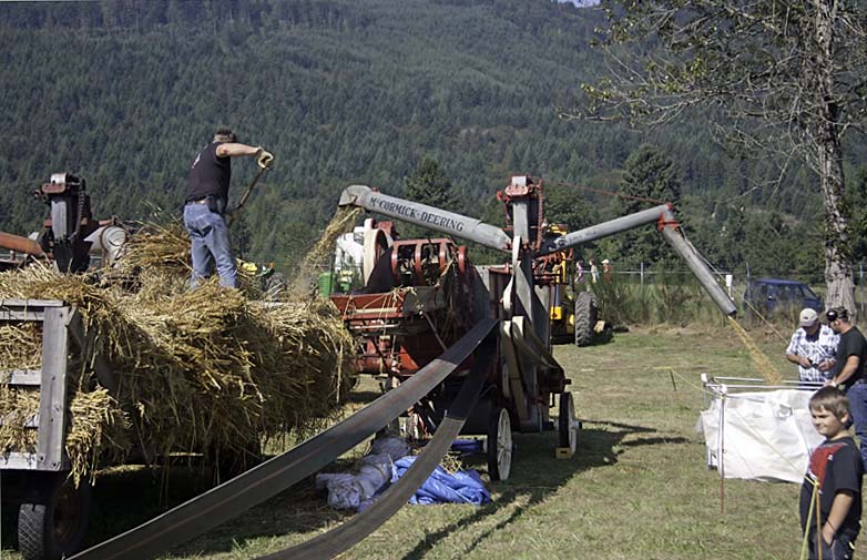 34 - Grain and Straw
