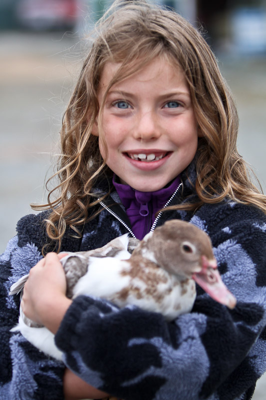 3 - Darn, the Duck Moved