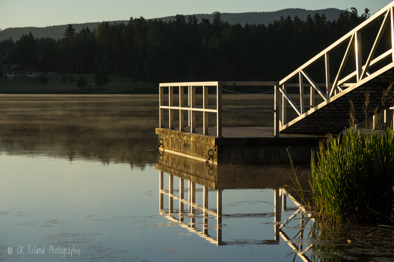 Morning at Somenos Lake