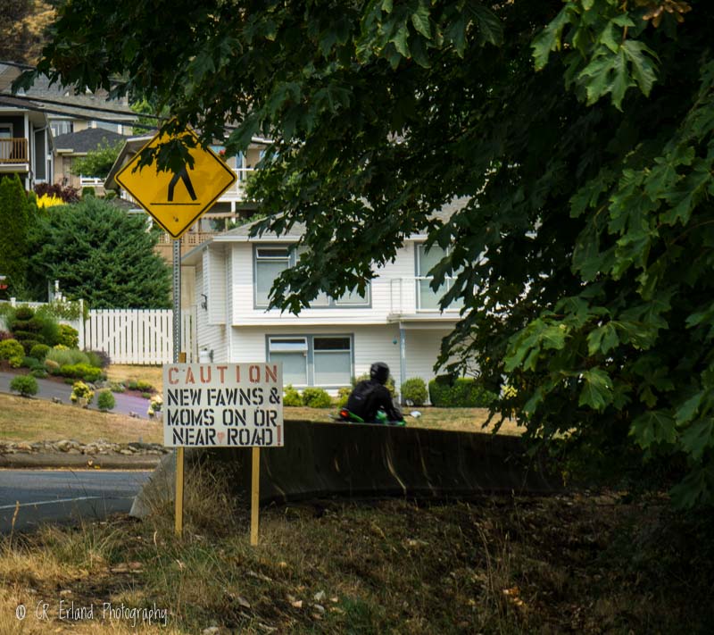 Seasonal Sign