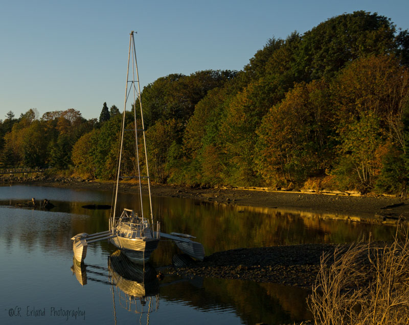 Waiting for the Tide