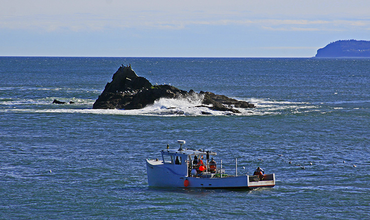 LOBSTERMEN AT WORK