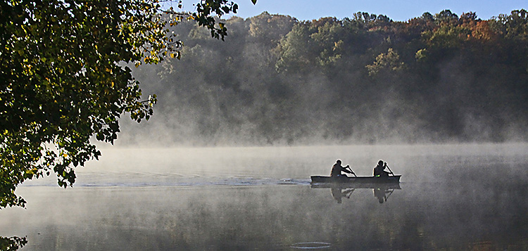 MORNING IN THE MIST