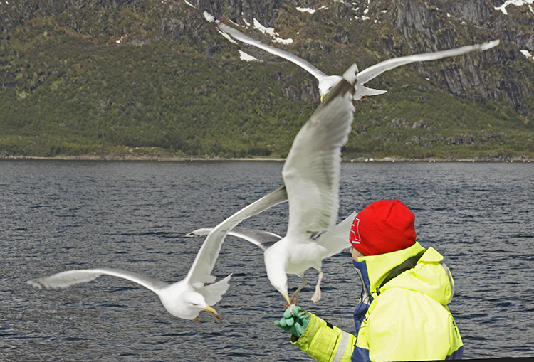 HAND TO BEAK-2!