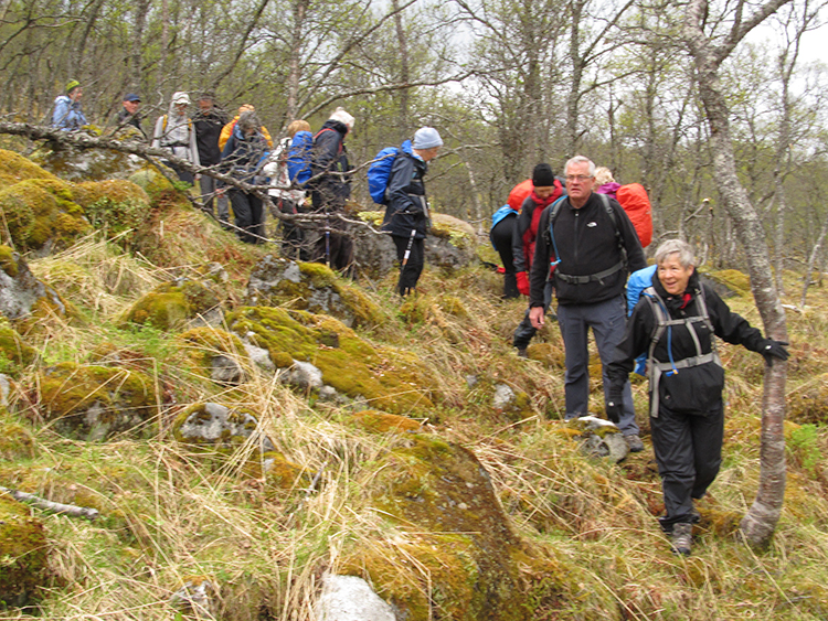 DIFFICULT TERRAIN