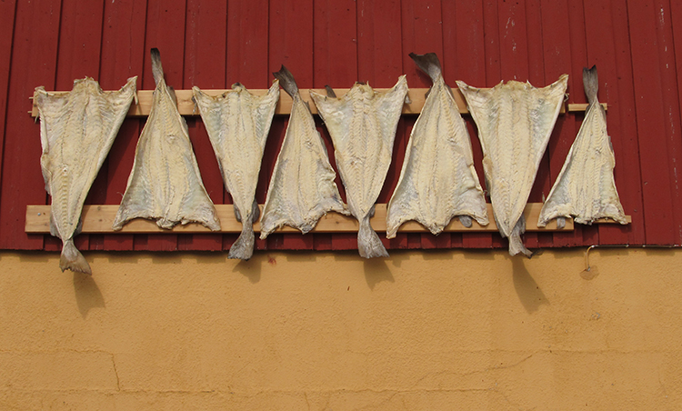 A HOUSEHOLD COD DRYER