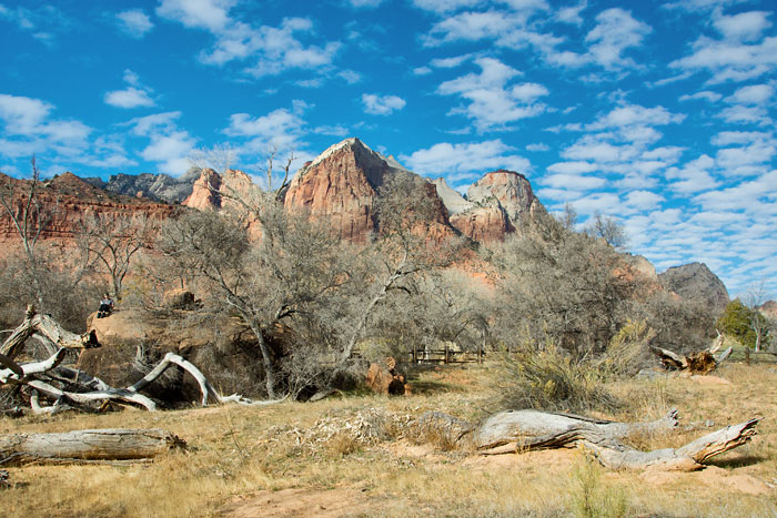 Zion NP 24