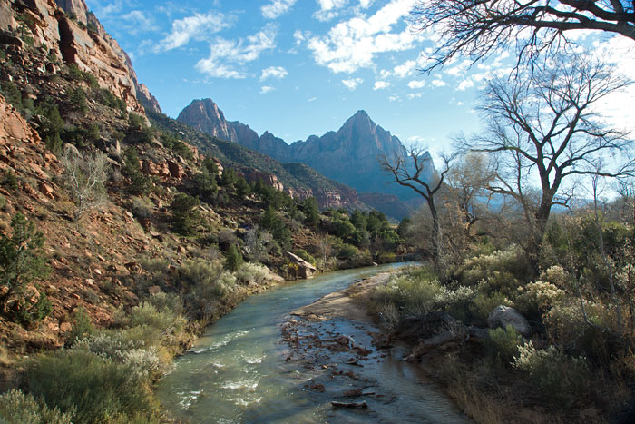 Zion NP 31