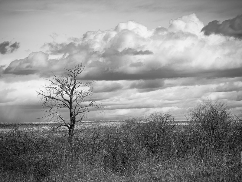 20130513_Alberta BC_0156.jpg