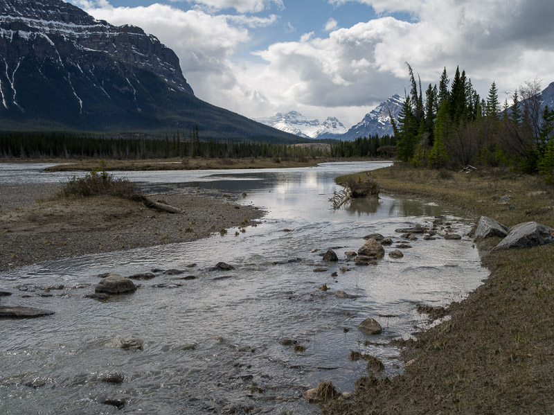 20130513_Nordegg_0052.jpg