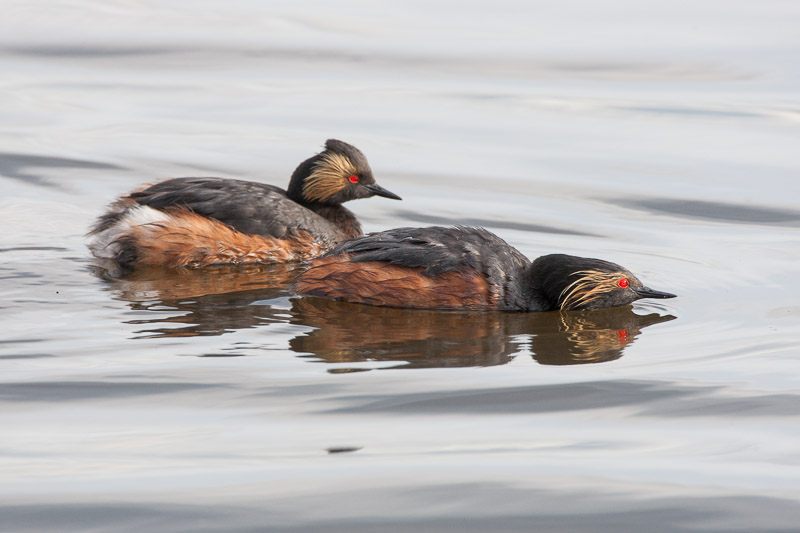 20130605_Frank Lake_0160.jpg